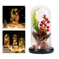 Piñón de Navidad Iluminado en Cúpula de Cristal